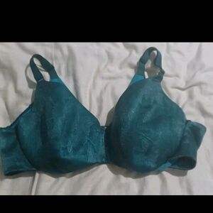 Cacique Teal Bra